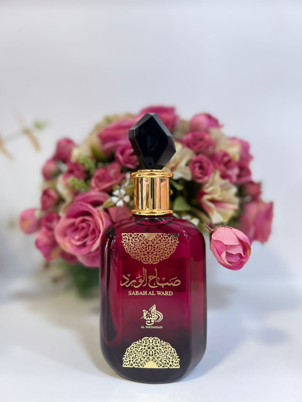 Imagem do WhatsApp de 2023-10-05 à(s) 17.50.50_12ab10d8