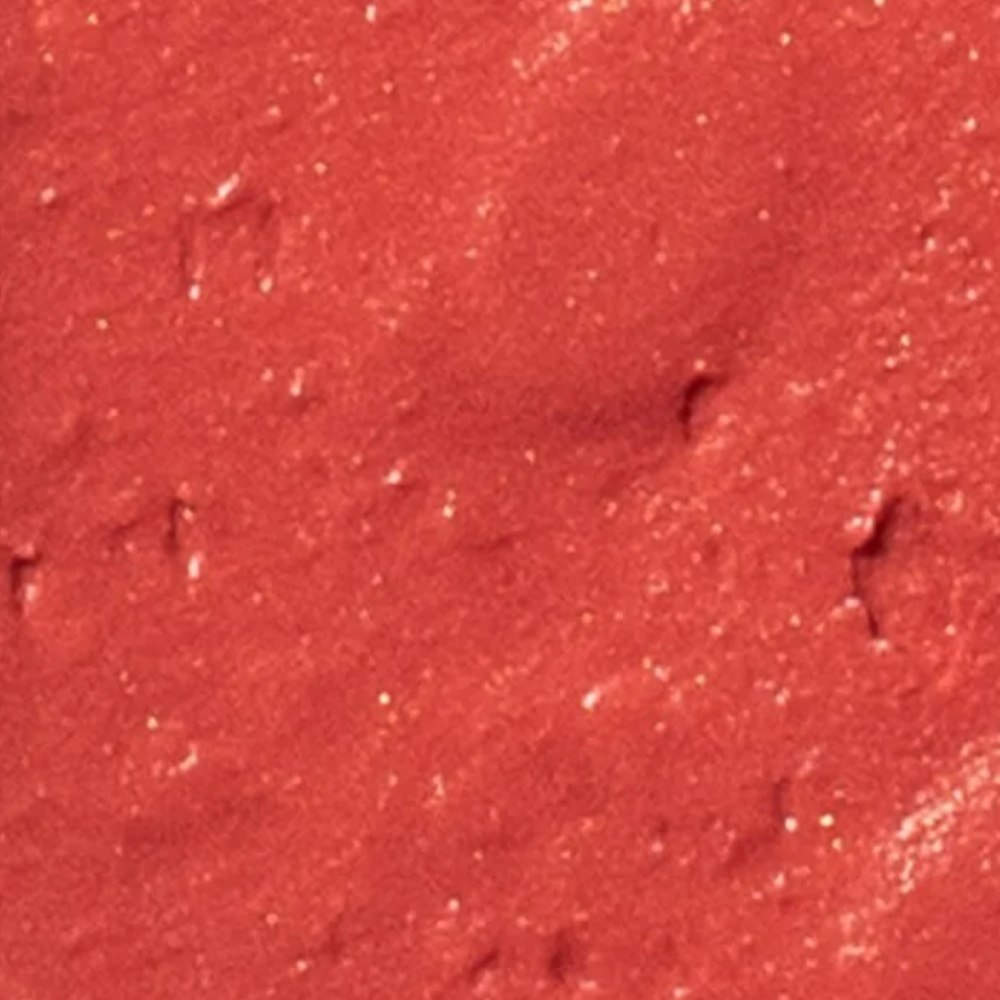 Blush Stick Oceane Edition Coral 12g.2