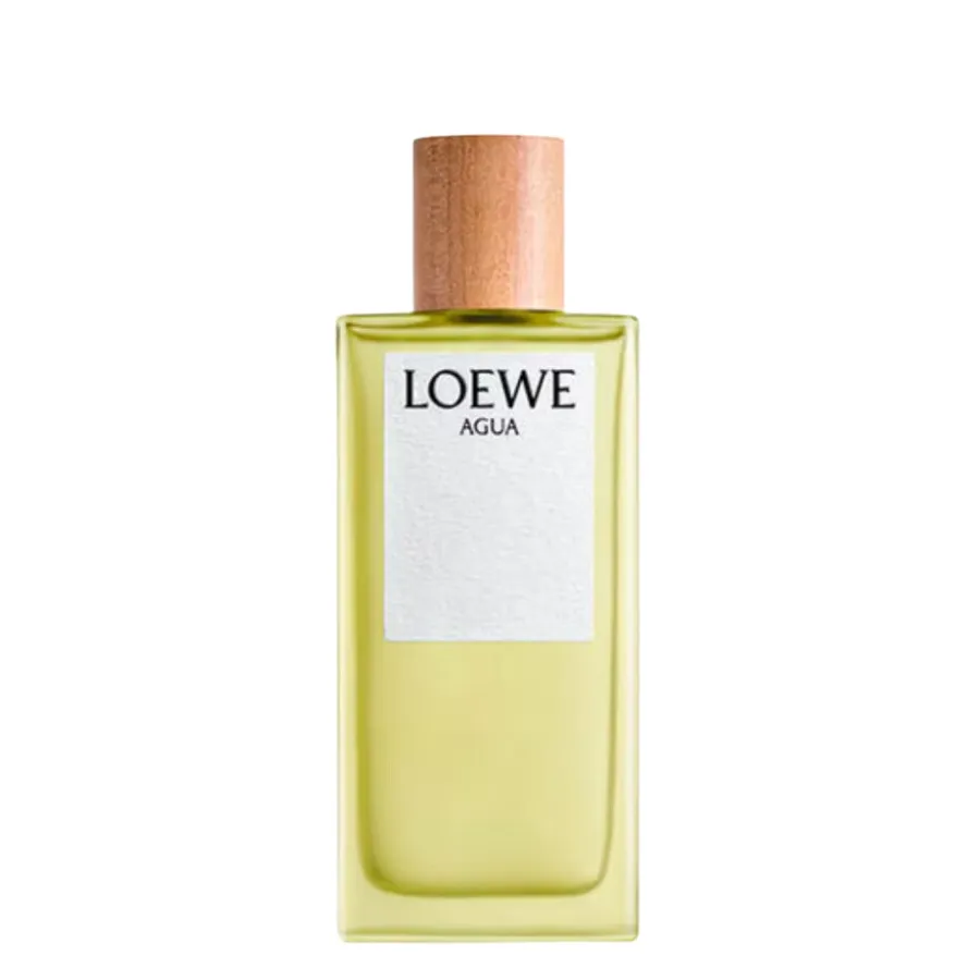 Loewe Agua Edt 100ml