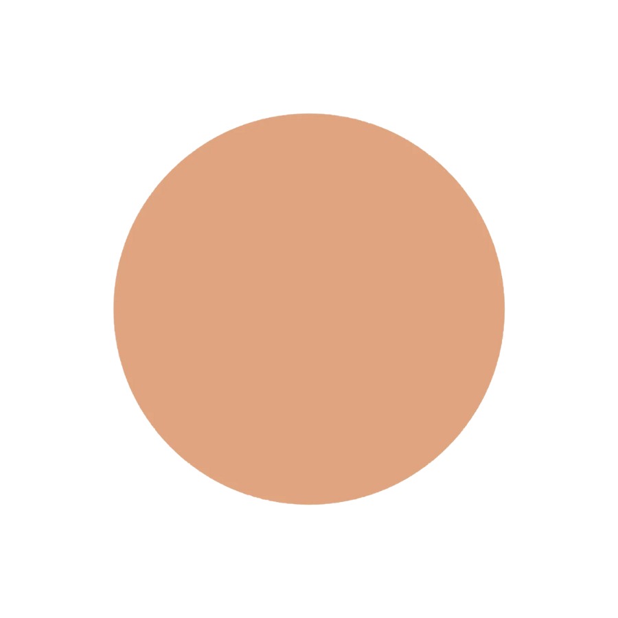 Base Compact Uv Protective Dark Ivory Refil Shiseido 12g.